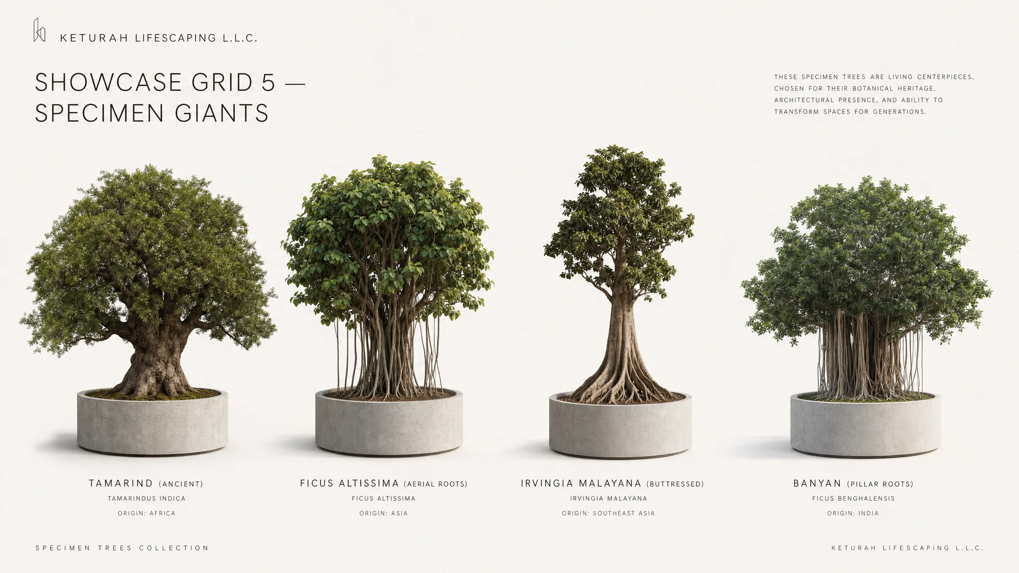 Specimen Giants